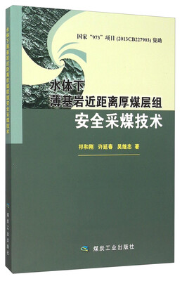 

水体下薄基岩近距离厚煤层组安全采煤技术