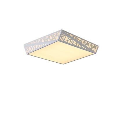 

JX213 - 30W - WW Warm White Ceiling Lamp AC 220V