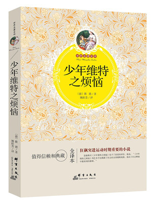 

少年维特之烦恼