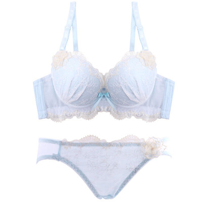 

Summer sexy collection, sweet three-dimensional flowers, fashion embroidery, lace girl underwear, bra set