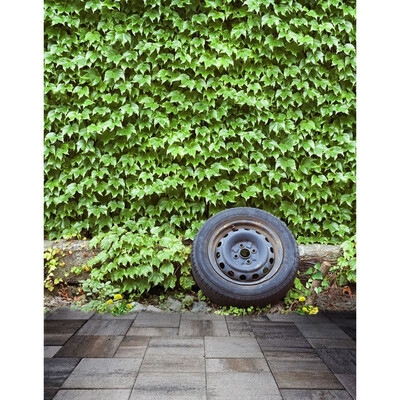 

Green Wall Photo Backdrop 57FT Vinyl Fabric Cloth Digital Printing Photo Background for Birthday s-2340