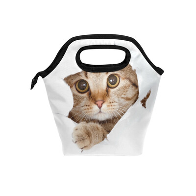 

Lunch Bag Tote Bag Hole Brown Cat Travel Picnic Organizer Lunch Holder Handbags Lunch Bag Box