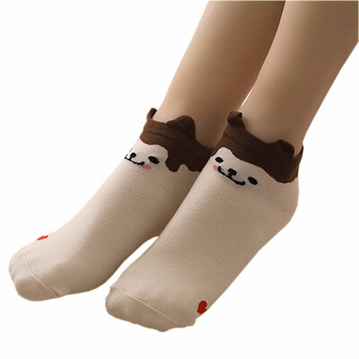 

LifeWheel Women Cotton Casual Short Sock Girl Fashion Athletic Gift Summer Socks 2 Pair or 6 Pair