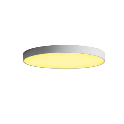 

JX232 - 24W - WJ Promise Dimmable Ceiling Light AC 220V