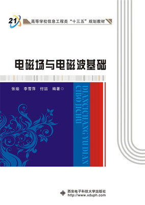 

电磁场与电磁波基础