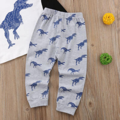 

Newborn Baby Boy T-shirt Top Dinosaur Long Pants Stripe Outfits Clothes 2Pcs