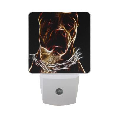 

ALAZA LED Night Light With Smart Dusk To Dawn SensorBurning Skeleton Knight Over Volcano Plug In Night Light