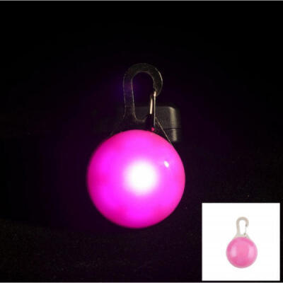 

Fascinating Pet Dog Cat Puppy LED Flashing Collar Safety Night Light Pendant