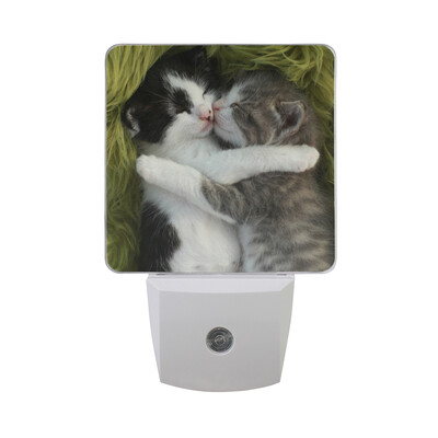

ALAZA LED Night Light With Smart Dusk To Dawn SensorWhite And Orange Newborn Kitten1 Plug In Night Light