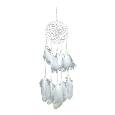 

UpperX Fluorescent Handmade Bohemian Dream Catcher