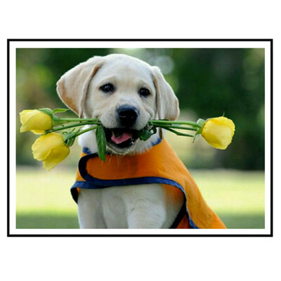 

UpperX Full 5D Diy Diamond Painting Cross Stitch "Dog FLOWER" 3D Diamond Embroidery Rhinestone Mosaic Decor Paintings