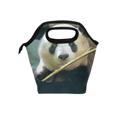 

Insulated Lunch Tote Bag Cute Panda Travel Picnic Lunch Handbags Portable Zipper Lunch Bag Box