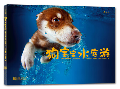 

狗宝宝水底游