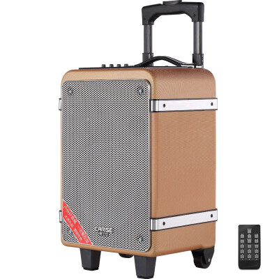 

Yalan Shi (EARISE) V6 card portable high-power square dance sound box outdoor mobile bar audio wireless remote control gold