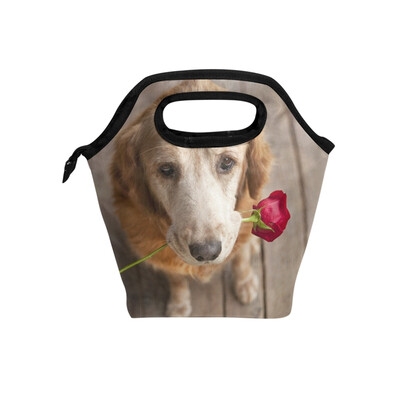 

Insulated Lunch Tote Bag Rose Dog Travel Picnic Lunch Handbags Portable Zipper Lunch Bag Box