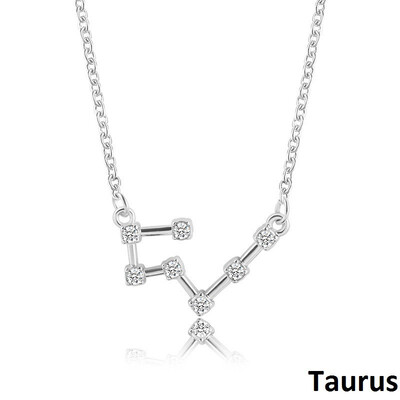 

Outdoor 12 Constellation Pendant Necklace Alloy Chain Necklace for Womens Girls