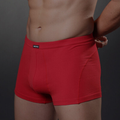 

Mens Underwear Comfortable Boxershorts Men Underwear Boxer Cueca Boxers