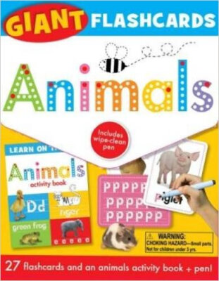 

Flashcards Animal