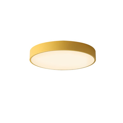 

JX210 - 24W - WJ Promise Dimmable Ceiling Light AC 220V