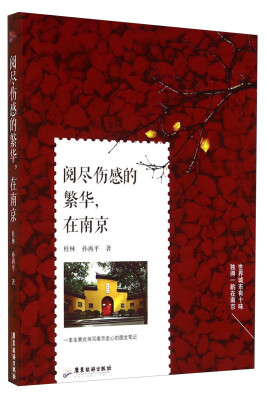 

阅尽伤感的繁华，在南京