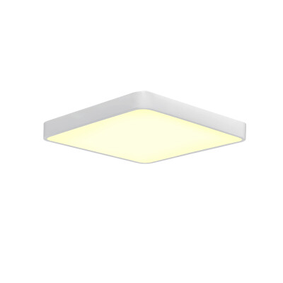 

JX231 - 48W - WW Warm White Ceiling Lamp AC 220V