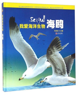 

青岛出版社 海鸥/我爱海洋生物(精)