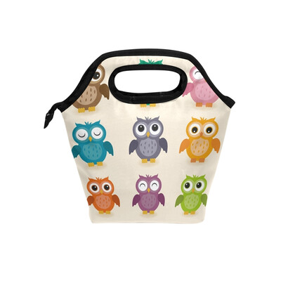 

Lunch Tote Bag Colorful Owl Travel Picnic Insulated Lunch Handbags Portable Zipper Lunch Bag Box