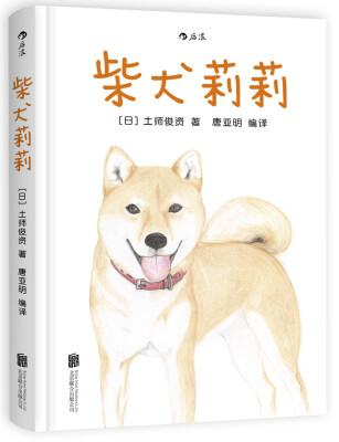 

柴犬莉莉