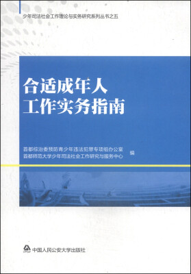 

少年司法社会工作理论与实务研究系列丛书5：合适成年人工作实务指南