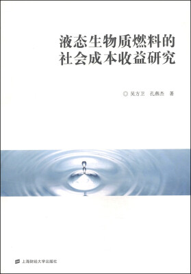 

液态生物质燃料的社会成本收益研究