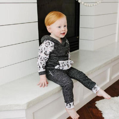

Cool Penguin Baby Boy Girl Outfits Long Sleeve Hooded Outfit Set Newborn Kids