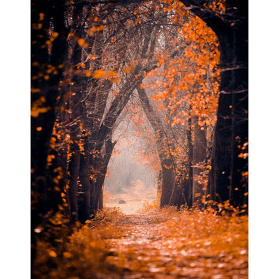 

Golden Autumn Leaves Photo Backdrop 57FT Vinyl Fabric Cloth Digital Printing Photo Background s-2339