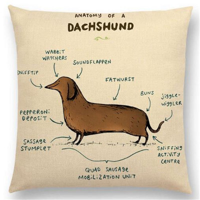 

Funny Animals Anatomy Flamingo Fox Dachshund Giraffe Hedgehog Lion Pug Squirrel Cushion Cover Sofa Throw Pillow Case