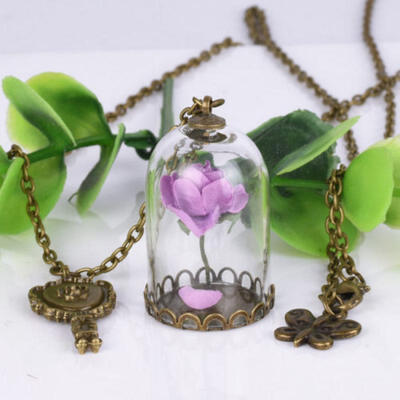 Beauty&the Beast Real Rose Dried Glass Flower Bottle Chain Necklace Pendant