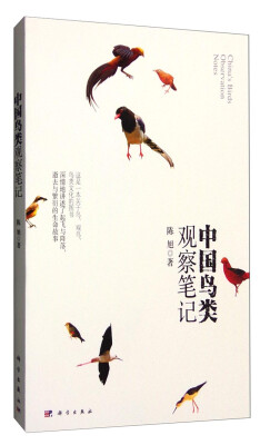 

中国鸟类观察笔记