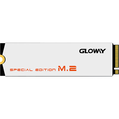 

Gloway 960GB SSD Solid State DriveM2 Interface NVMe Protocol-Speed Edition5 Year Warranty