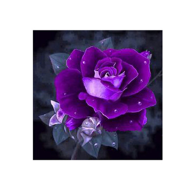 

DIY 5D Diamond Painting Kits DIY Drill Diamond Painting Needlework Crystal Painting Rhinestone Cross Stitch Mosaic Paintings Arts