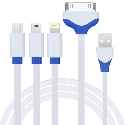 

Зарядный кабель Capshi 4-в-1 Micro USB, Mini USB, Lightning 8 pin, Apple 30 pin