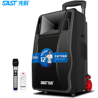 

SAST A69 12-inch square dance audio rod speaker outdoor portable audio Bluetooth audio high-power home outdoor live karaoke audio double microphone version
