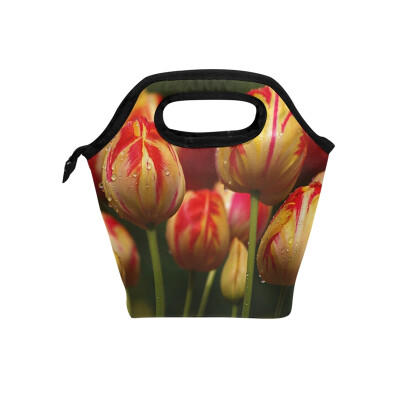 

Insulated Lunch Tote Bag Red Tulip Travel Picnic Lunch Handbags Portable Zipper Lunch Bag Box