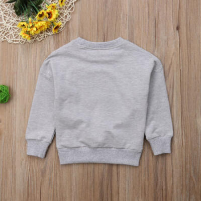 

US Toddler Kids Baby Boy Girl Tiger Tops Long Sleeve T-shirt Blouse Clothes 1-6Y