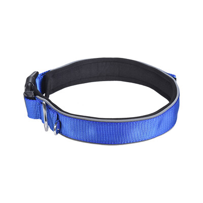 

Strong Durable Dog Collar Dual D-ring Nylon Fasten Tape Length Adjustable Comfortable Neck Pet Collars for Small Large Medium Dogs