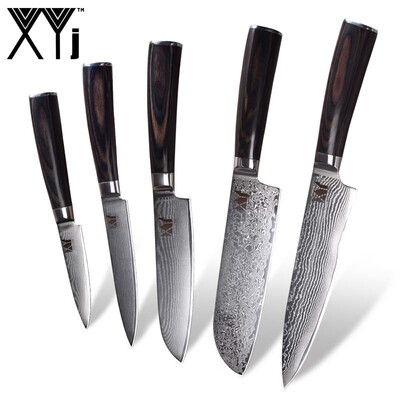 

XYj Damascus Knife 5 Piece Damascus Kitchen Knife 73 Layers Damascus Steel Knife Cooking Tools