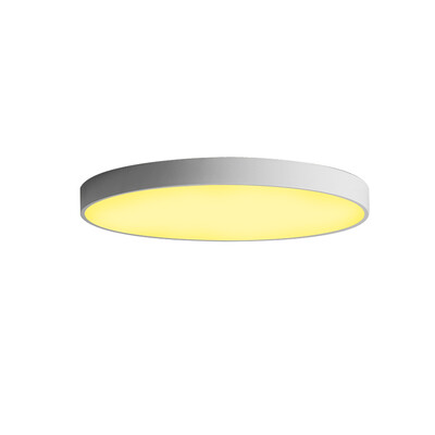

JX232 - 48W - WJ Promise Dimmable Ceiling Light AC 220V