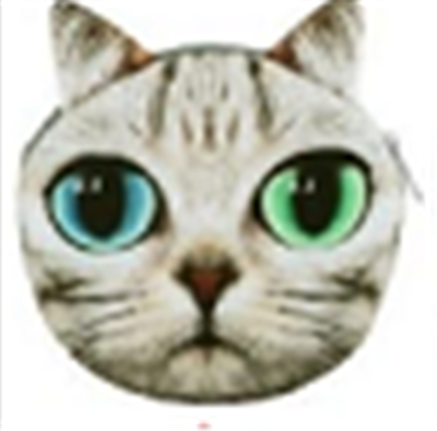 

Pouch Bag New Cute Women Shoulder Bag Cat Face Cartoon Print Zipper Closure Messenger Clutch Coin Purse Bag Phone Bag B7W4F4L2