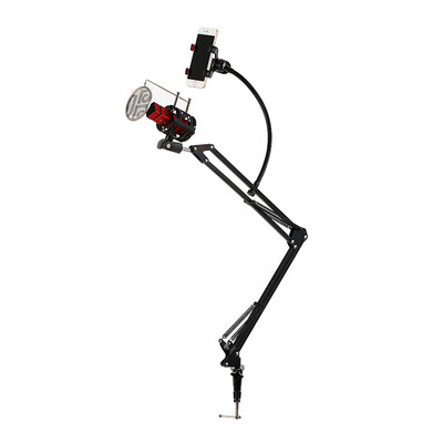 

Singing C1-03 Microphone Cantilever Bracket Handheld Microphone Bracket