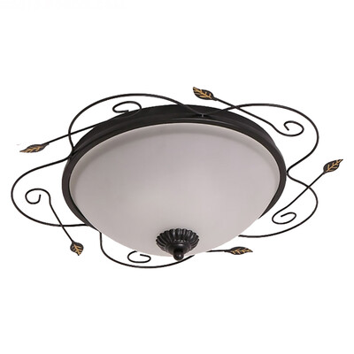 

Ceiling lamp ZM1711-1017
