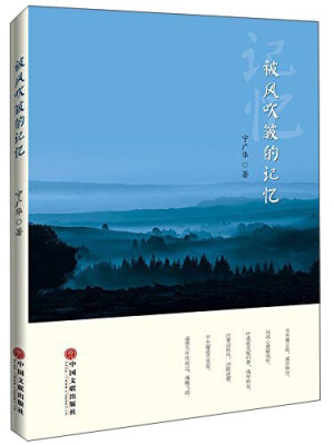 

被风吹皱的记忆