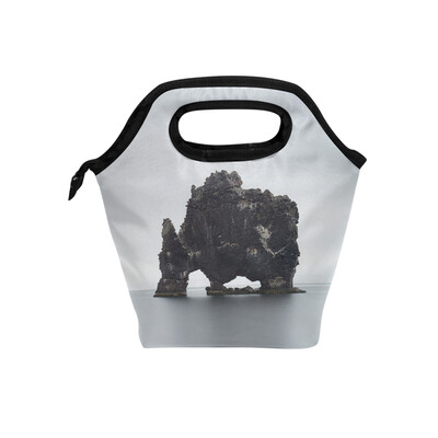 

Lunch Bag Paul-Morris-223786-Unsplash Tote Travel Picnic Insulated Handbags Portable Zipper Lunch Bag Box