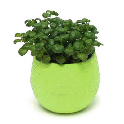 

Mini Colourful Round Plastic Plant Flower Pot Garden Home Office Decor Planter